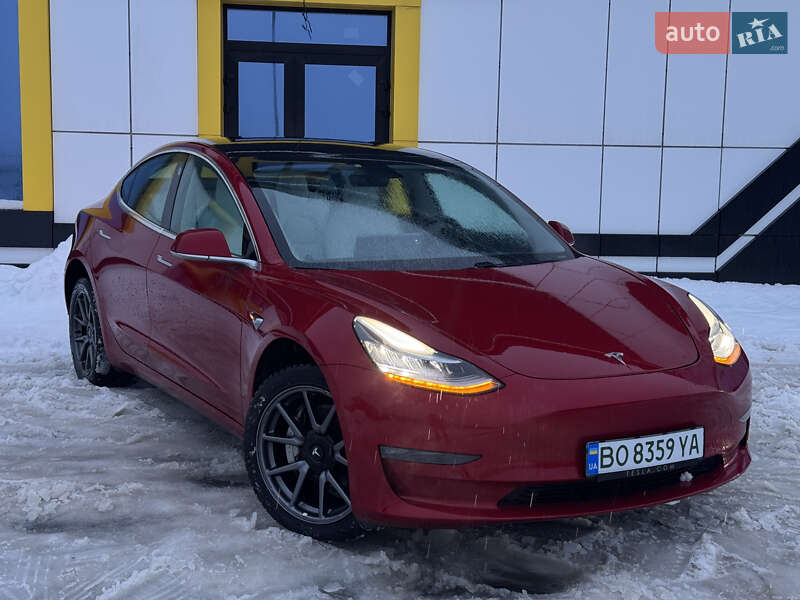 2019 Tesla Model-3, VIN 5YJ3E7EB1KF202917:plate — фото 1 (autoria)
