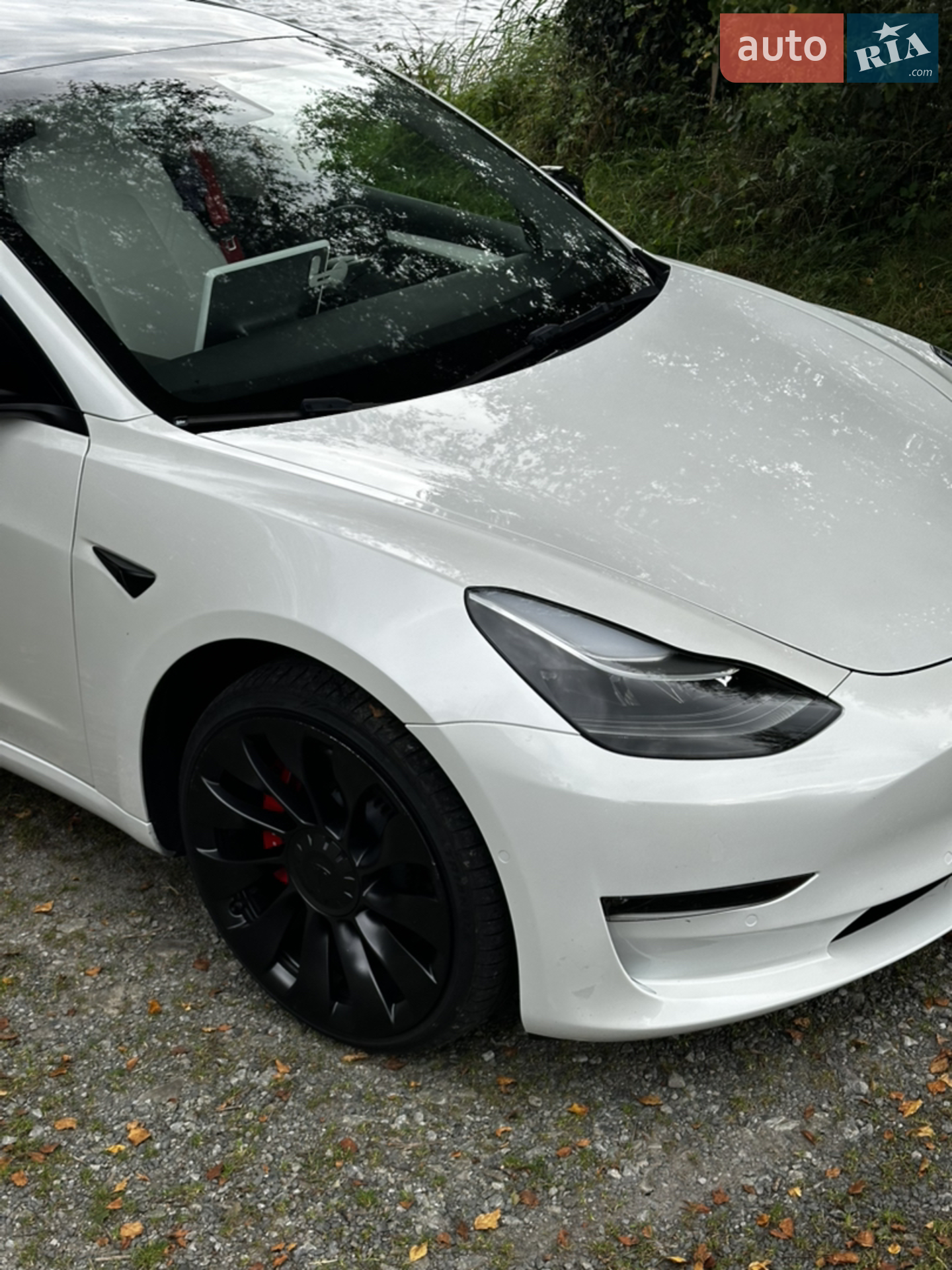 2022 Tesla Model 3 - мініатюра 3