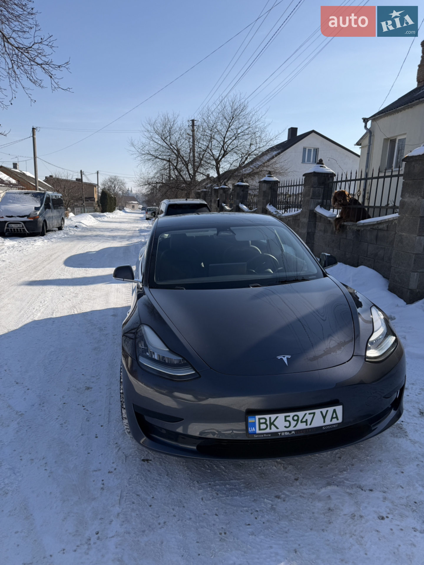 2019 Tesla Model 3 - мініатюра 5