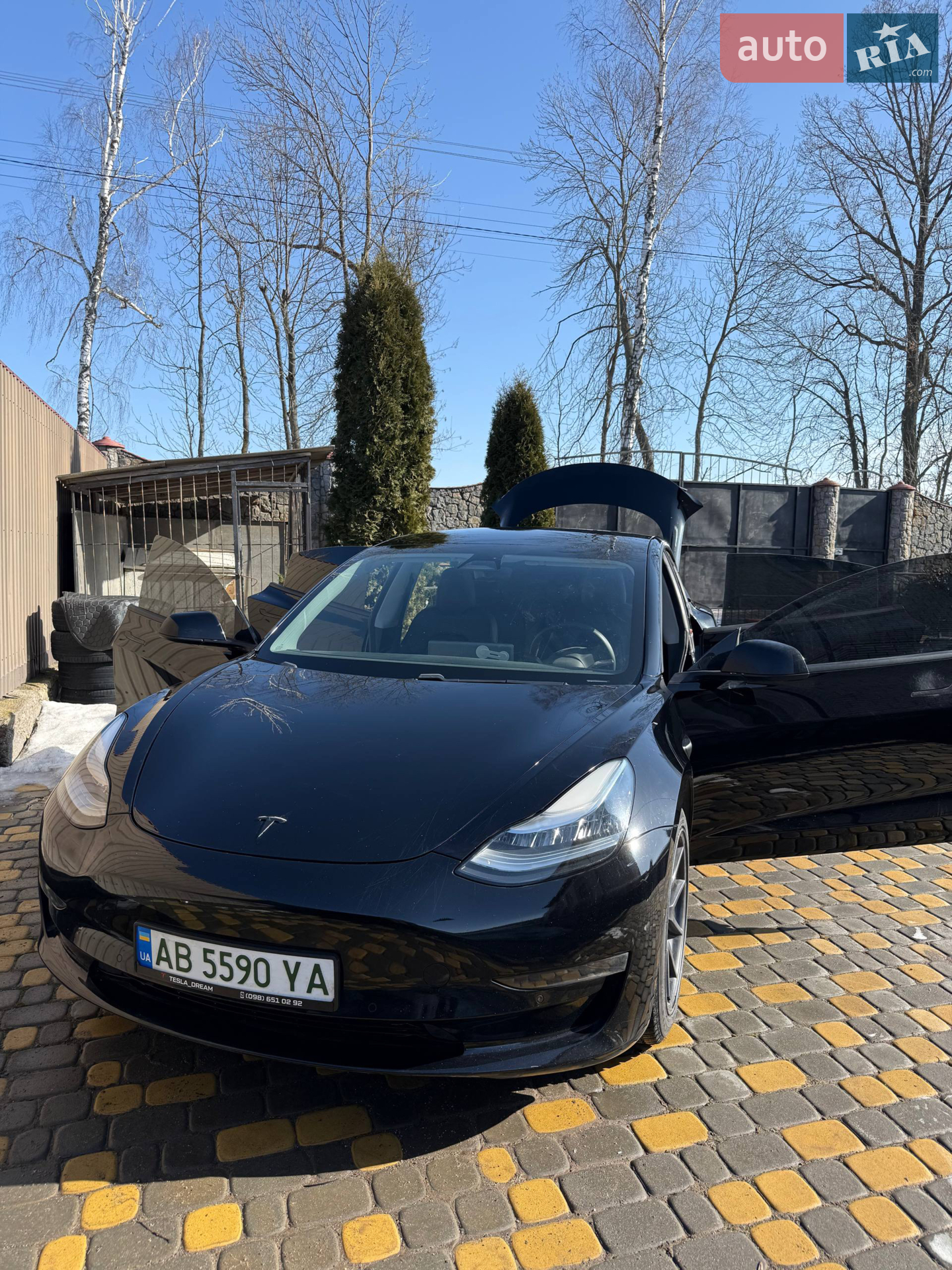 2020 Tesla Model 3 - мініатюра 10