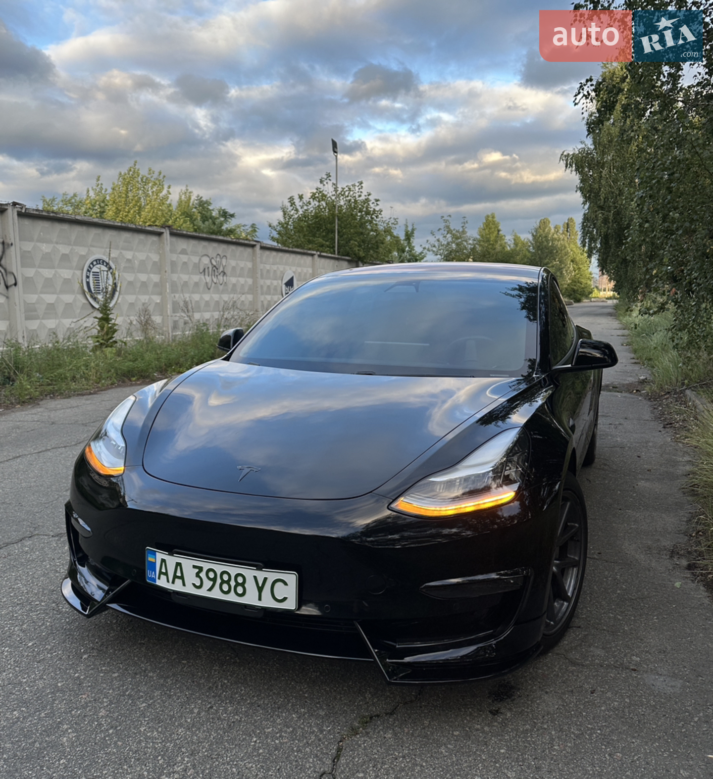 2019 Tesla Model 3 - мініатюра 2