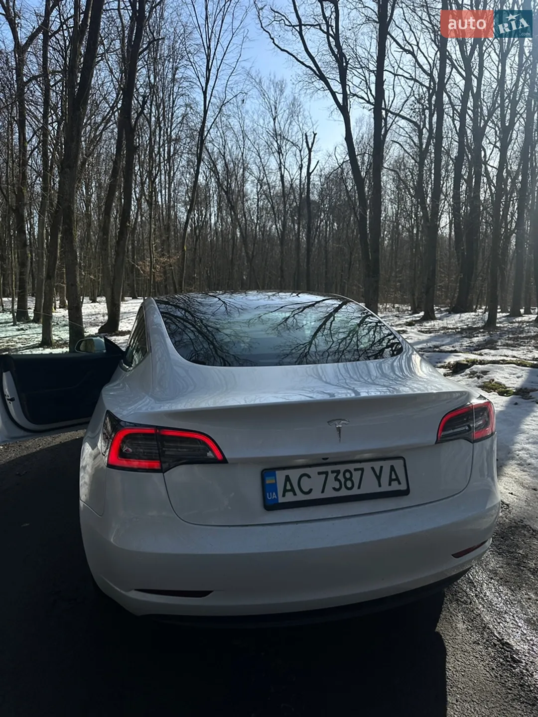 2019 Tesla Model 3 - мініатюра 12