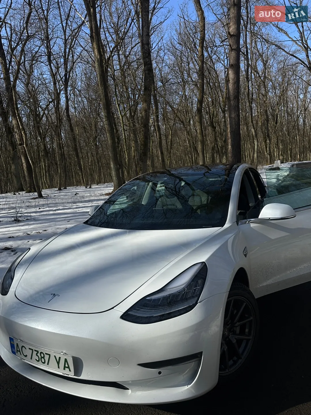 2019 Tesla Model 3 - мініатюра 6