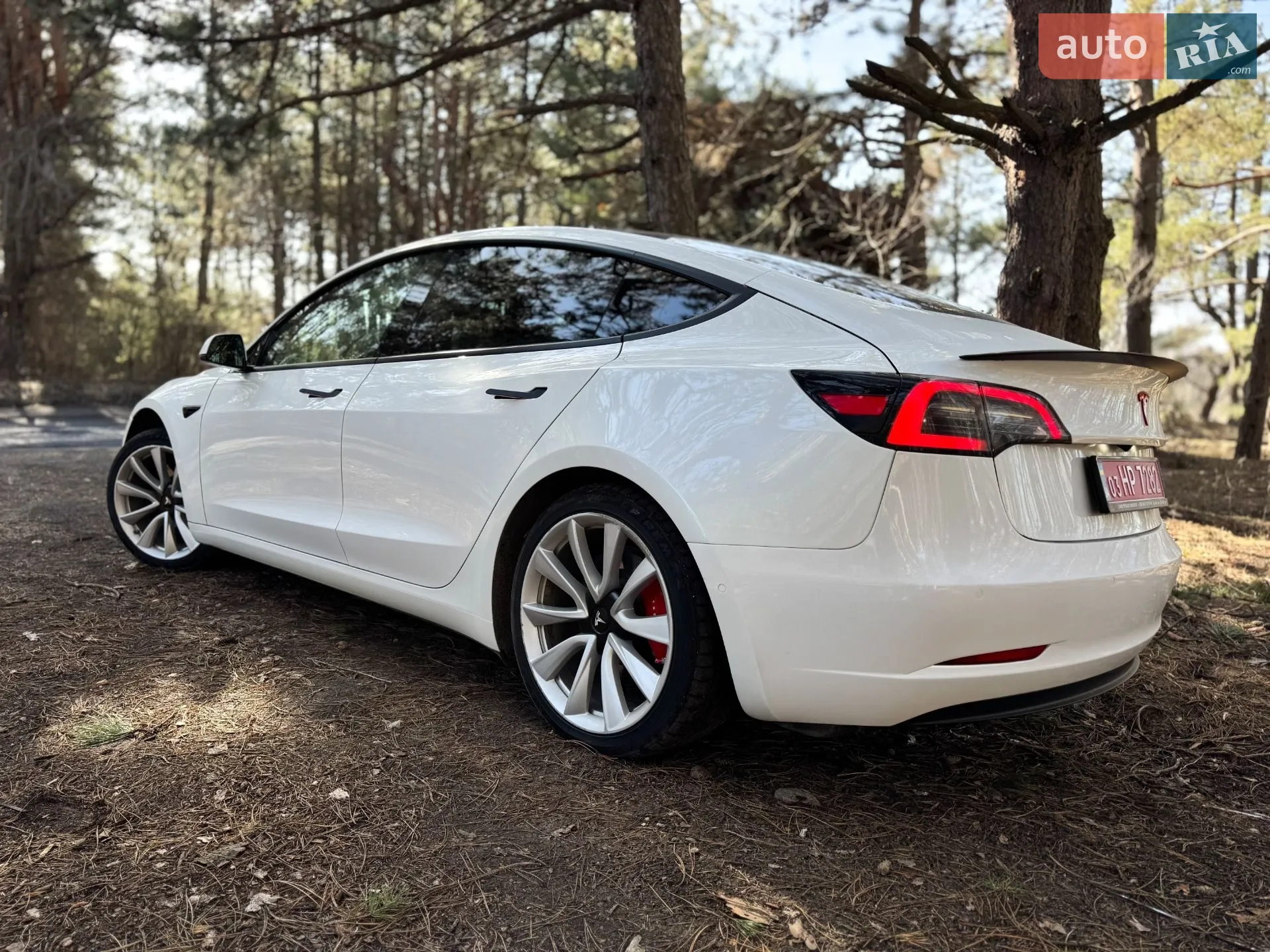 2019 Tesla Model 3 - мініатюра 4