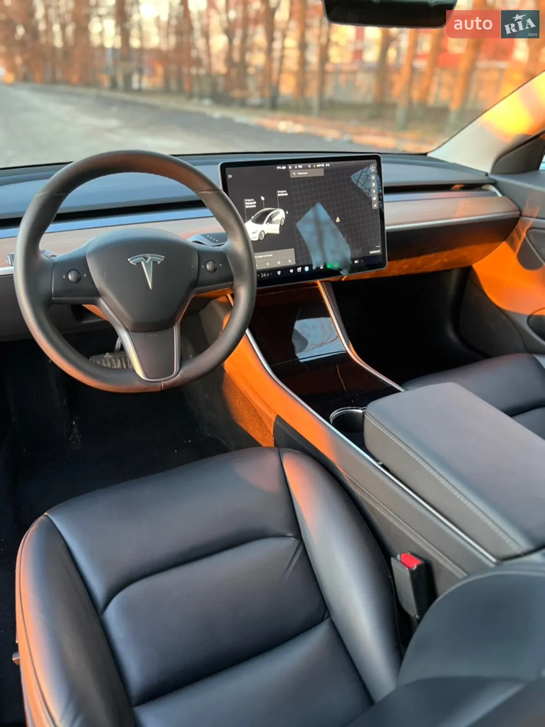 2019 Tesla Model 3 - мініатюра 16