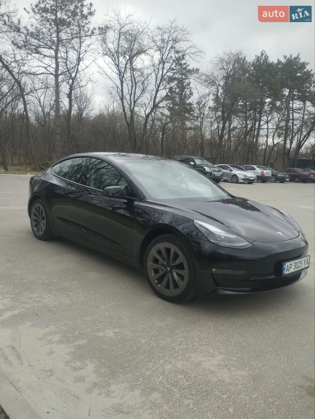 2022 Tesla Model 3 - мініатюра 2
