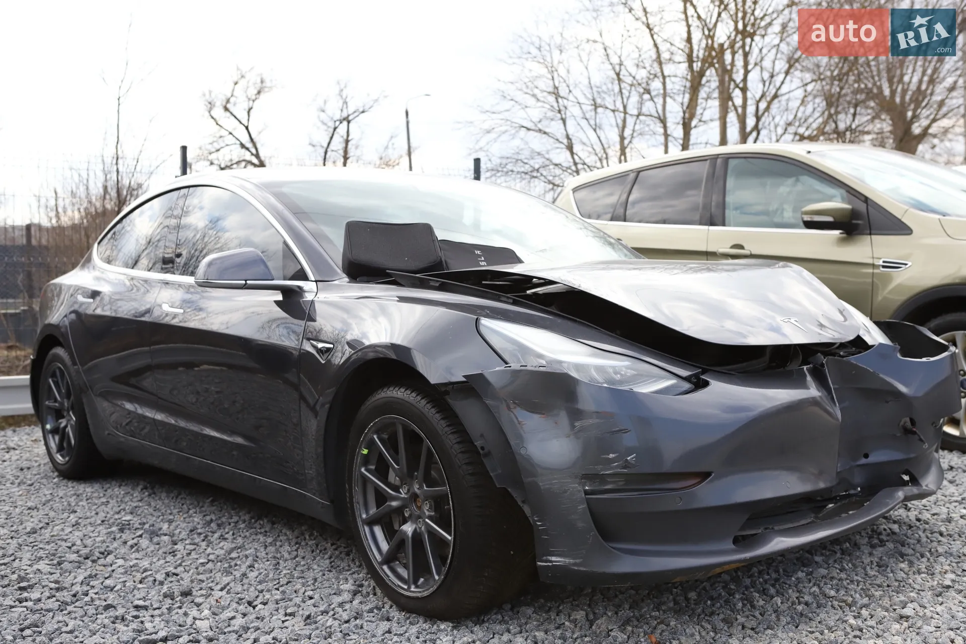2019 Tesla Model 3 - мініатюра 2