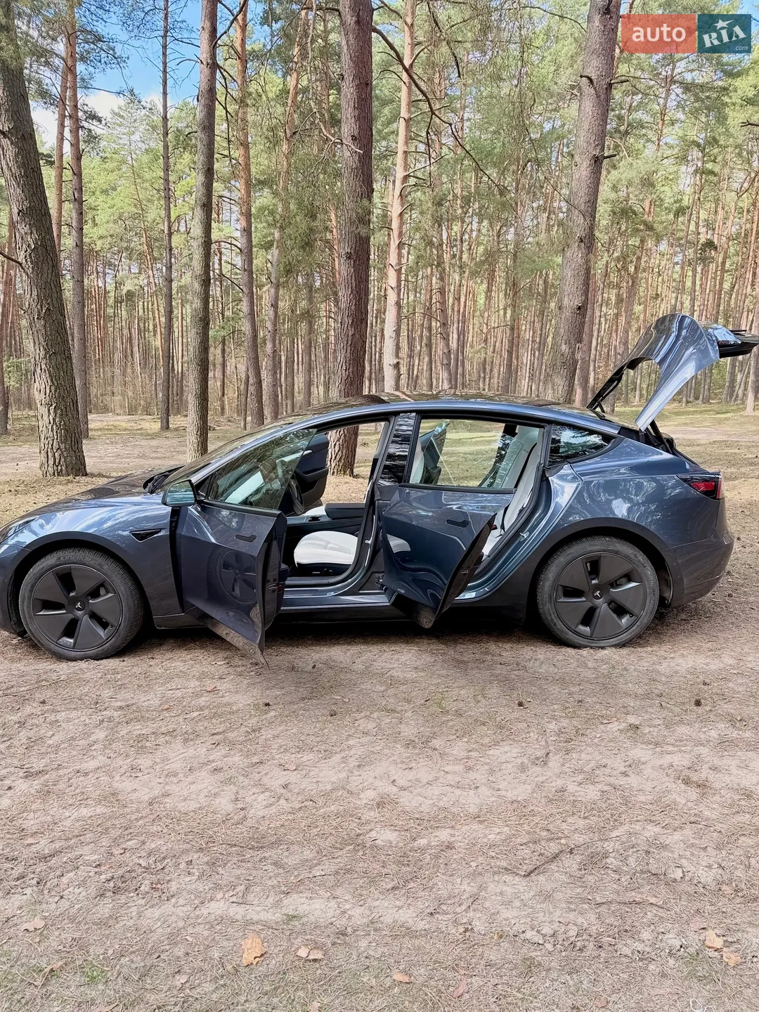 2022 Tesla Model 3 - мініатюра 14