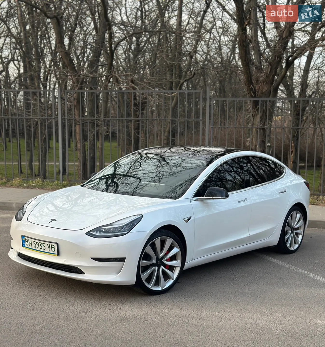 2019 Tesla Model 3 - фото 1