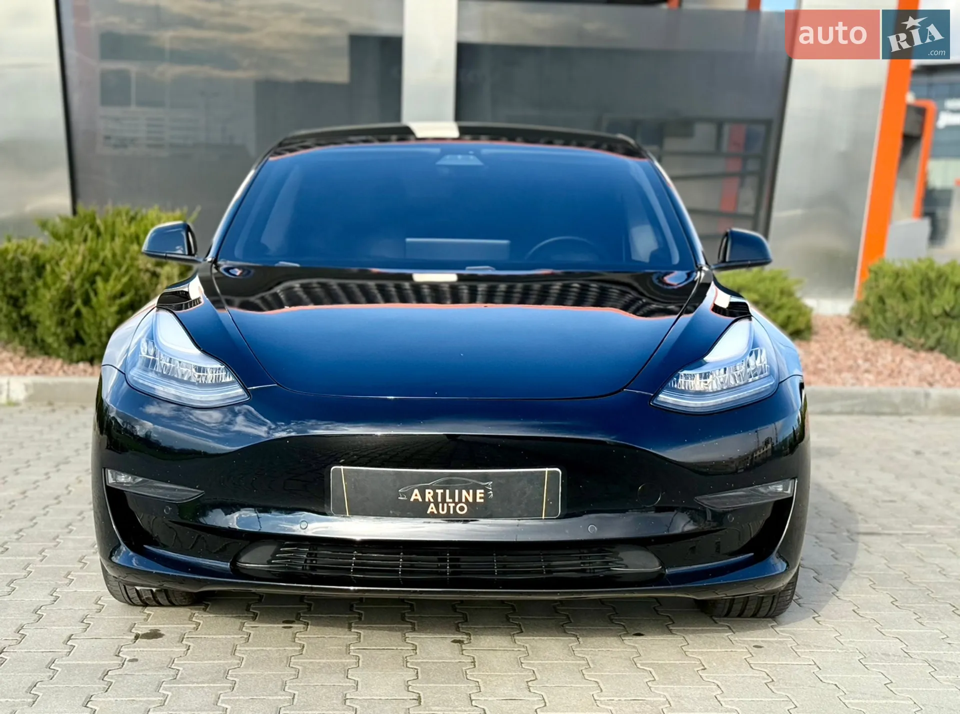 2019 Tesla Model 3 - мініатюра 6