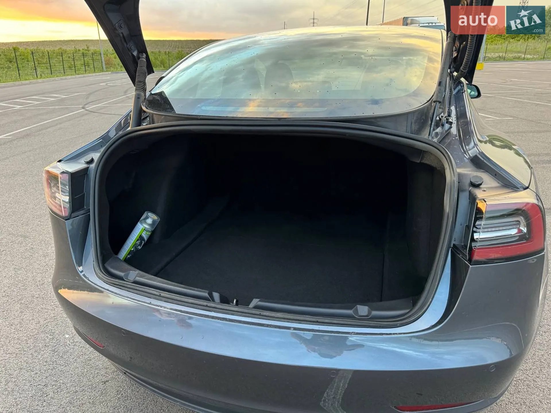 2022 Tesla Model 3 - мініатюра 4