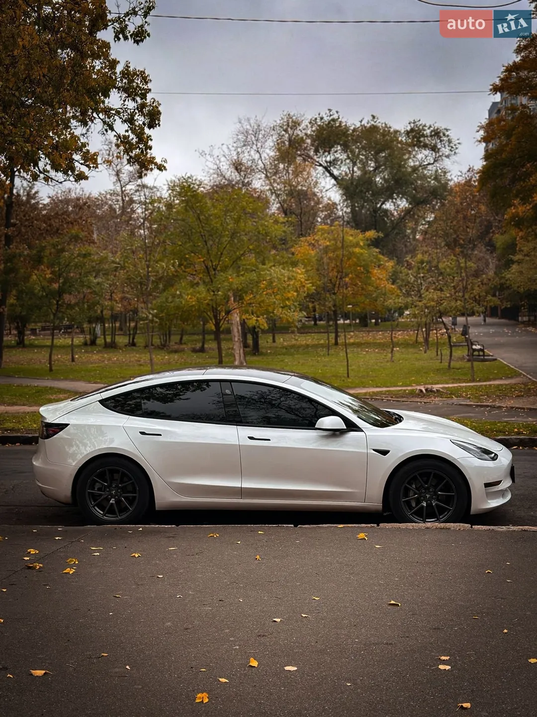 2020 Tesla Model 3 - мініатюра 4