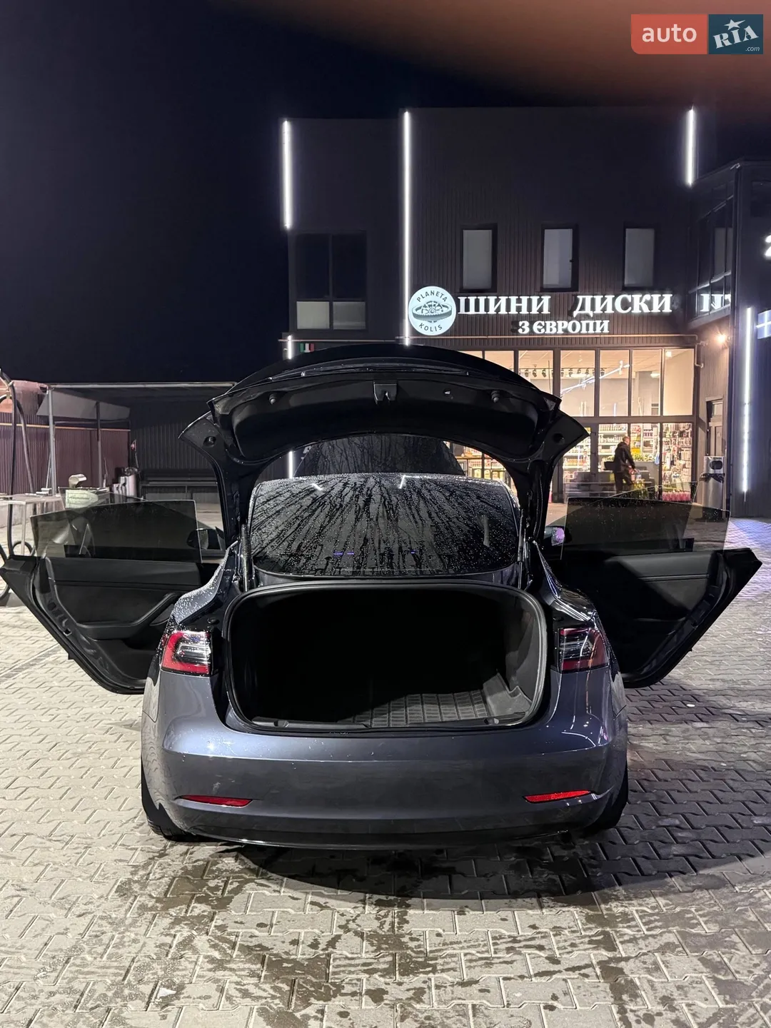 2022 Tesla Model 3 - мініатюра 31