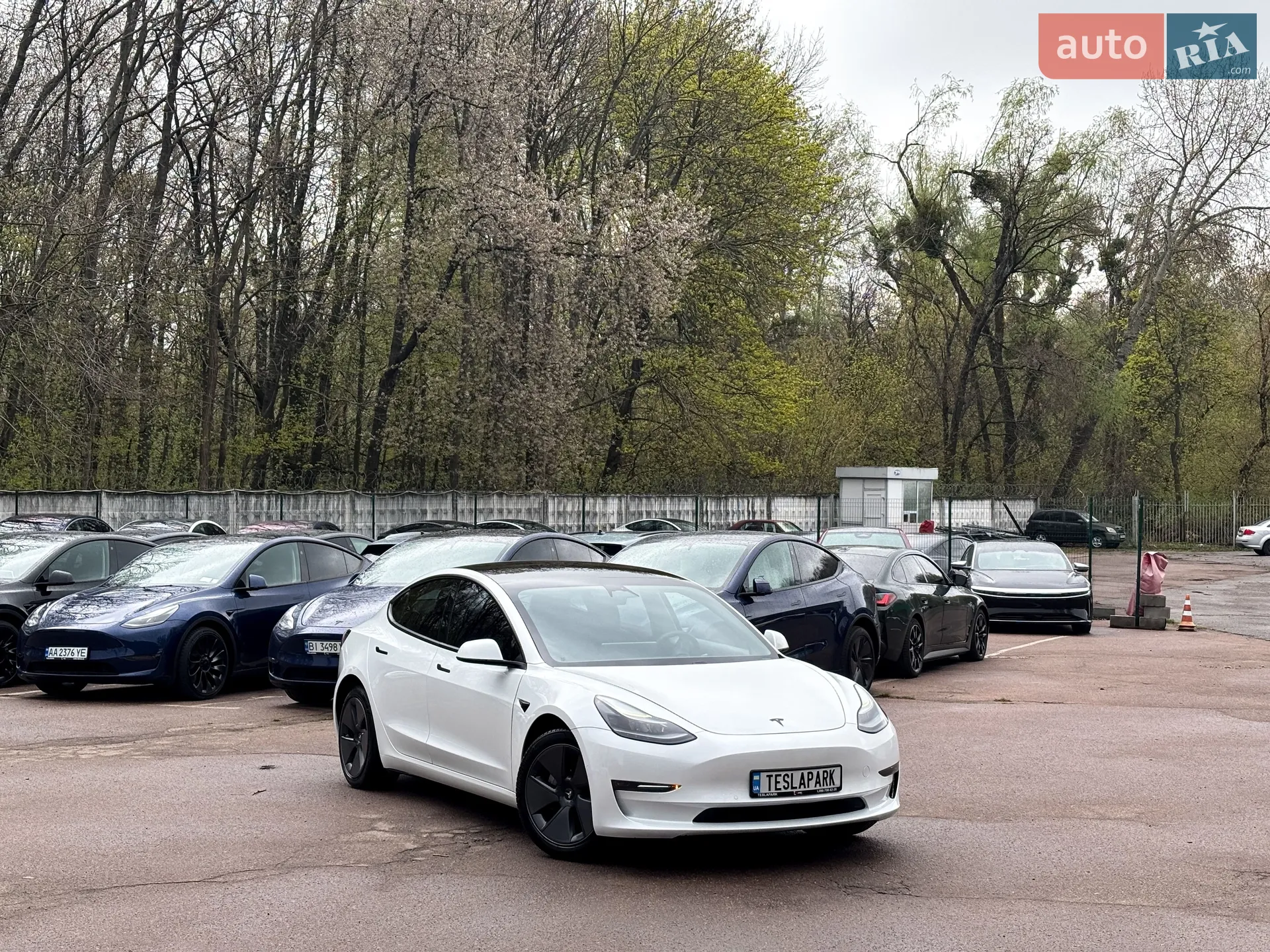 2022 Tesla Model 3 - мініатюра 2