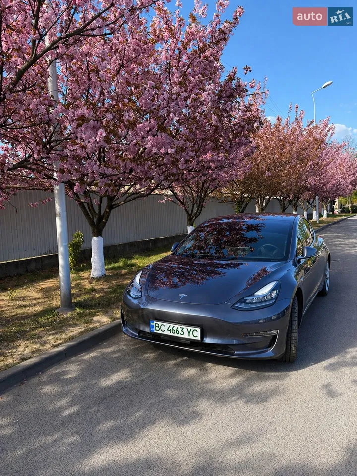 2019 Tesla Model 3 - мініатюра 15
