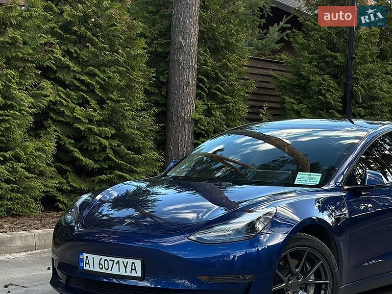 2021 Tesla Model 3, VIN 5YJ3E1EB0MF079465:plate — zdjęcie 1 (autoria)