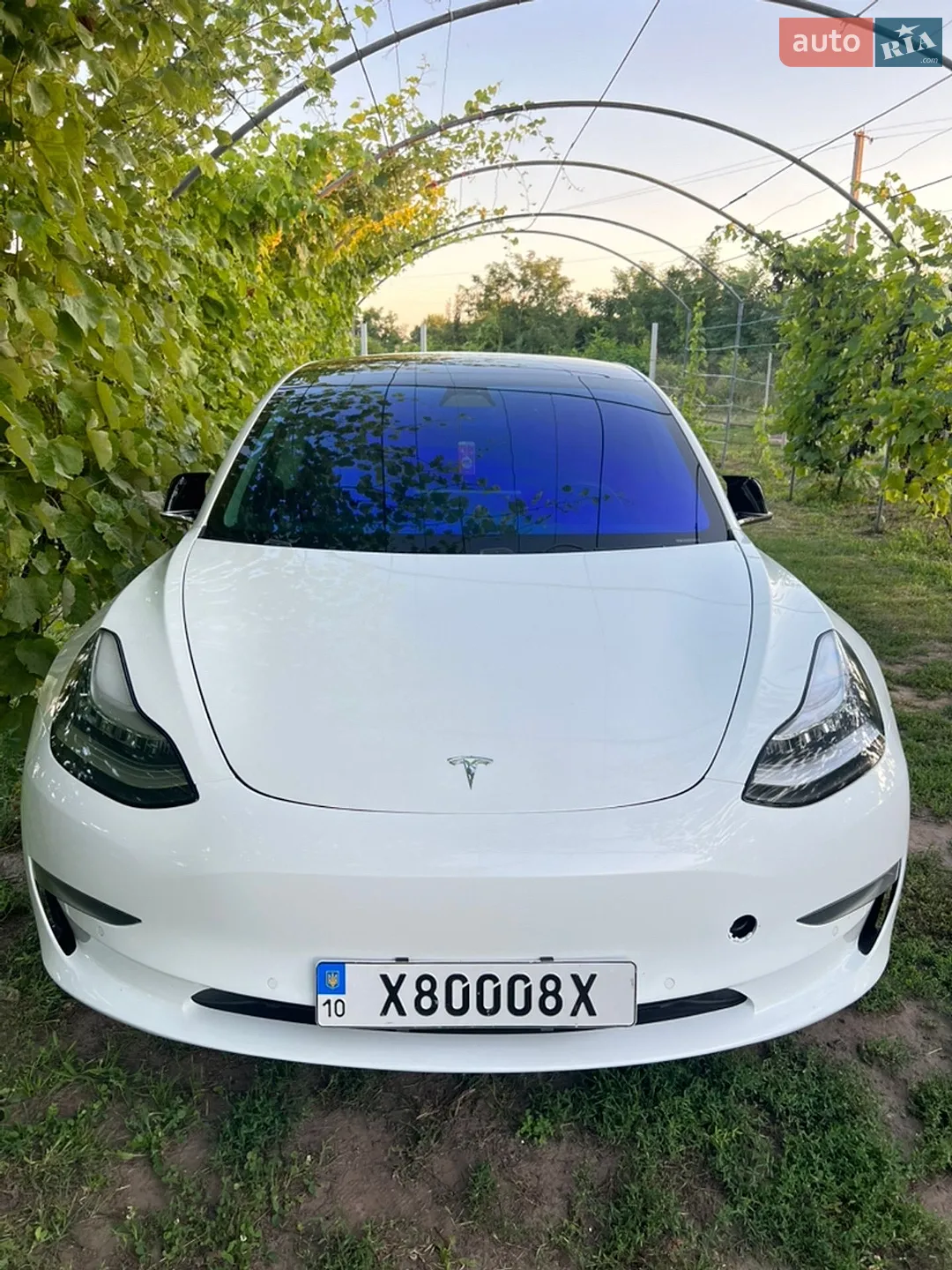 2019 Tesla Model 3 - фото 1