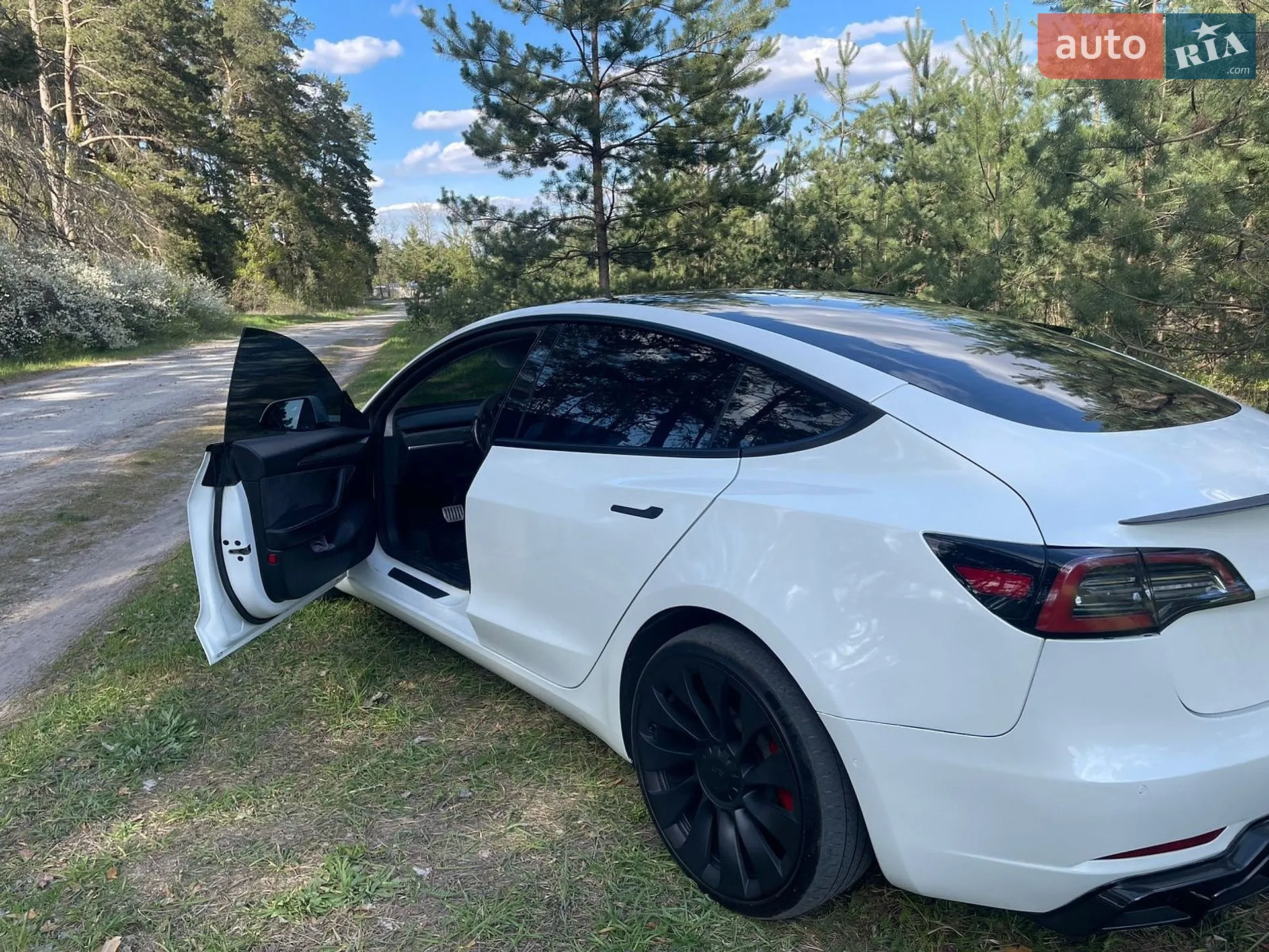 2021 Tesla Model 3 - мініатюра 15