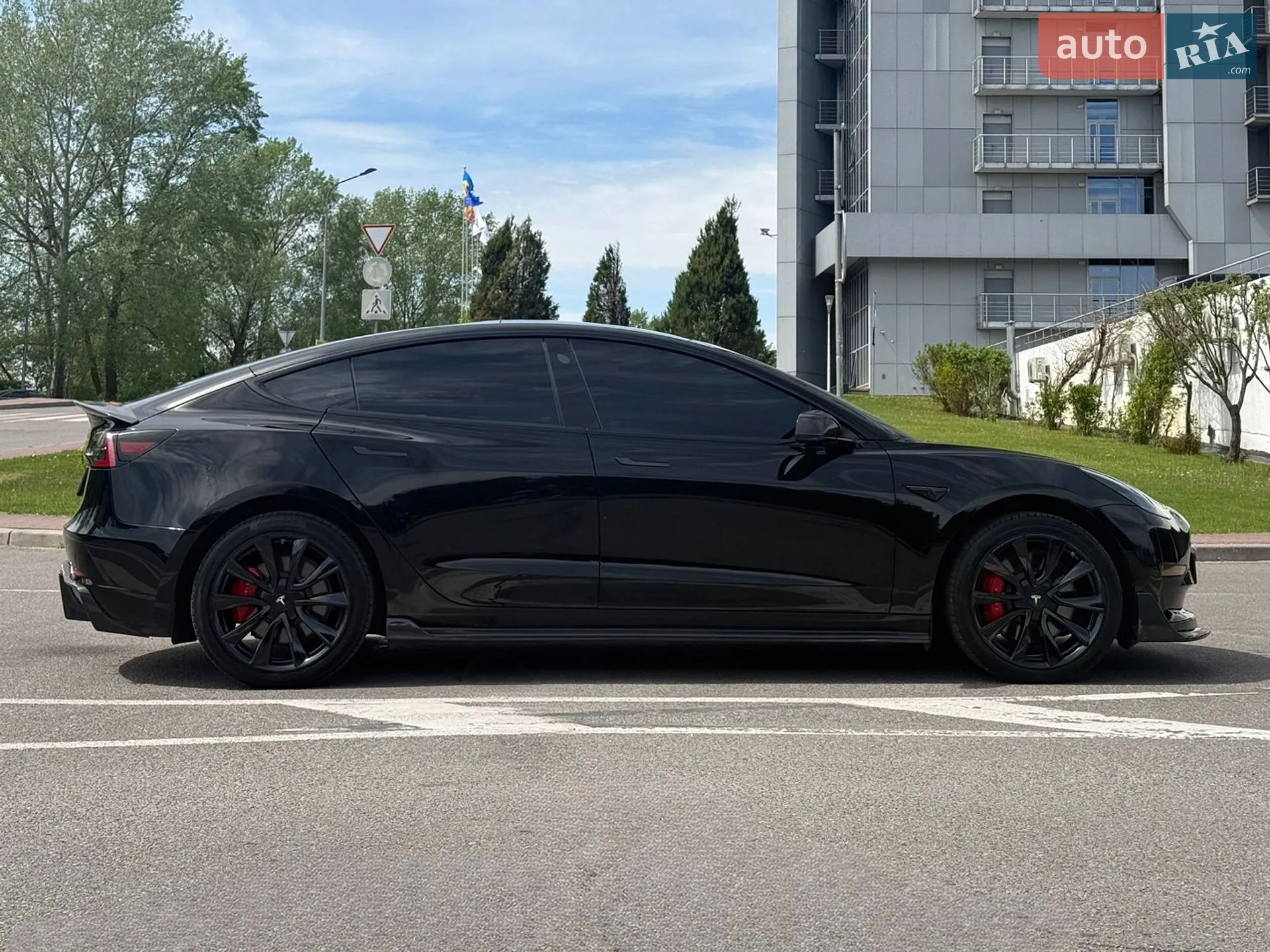 2019 Tesla Model 3 - мініатюра 16