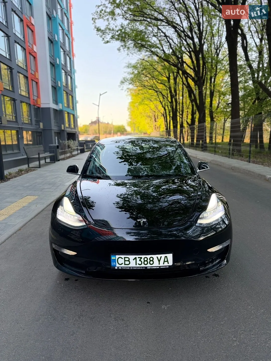 2019 Tesla Model 3 - мініатюра 2