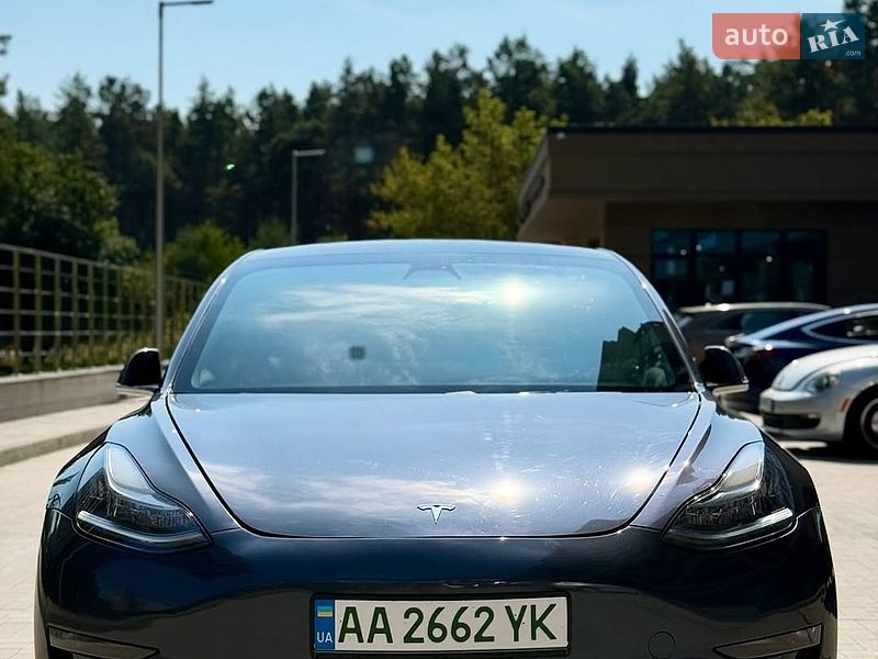 2019 Tesla Model 3, VIN 5YJ3E1EB0LF619864:plate — фото 1 (autoria)