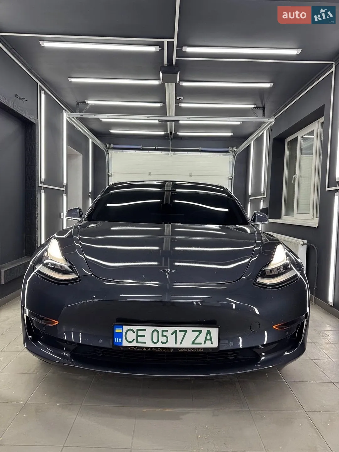 2019 Tesla Model 3 - мініатюра 2