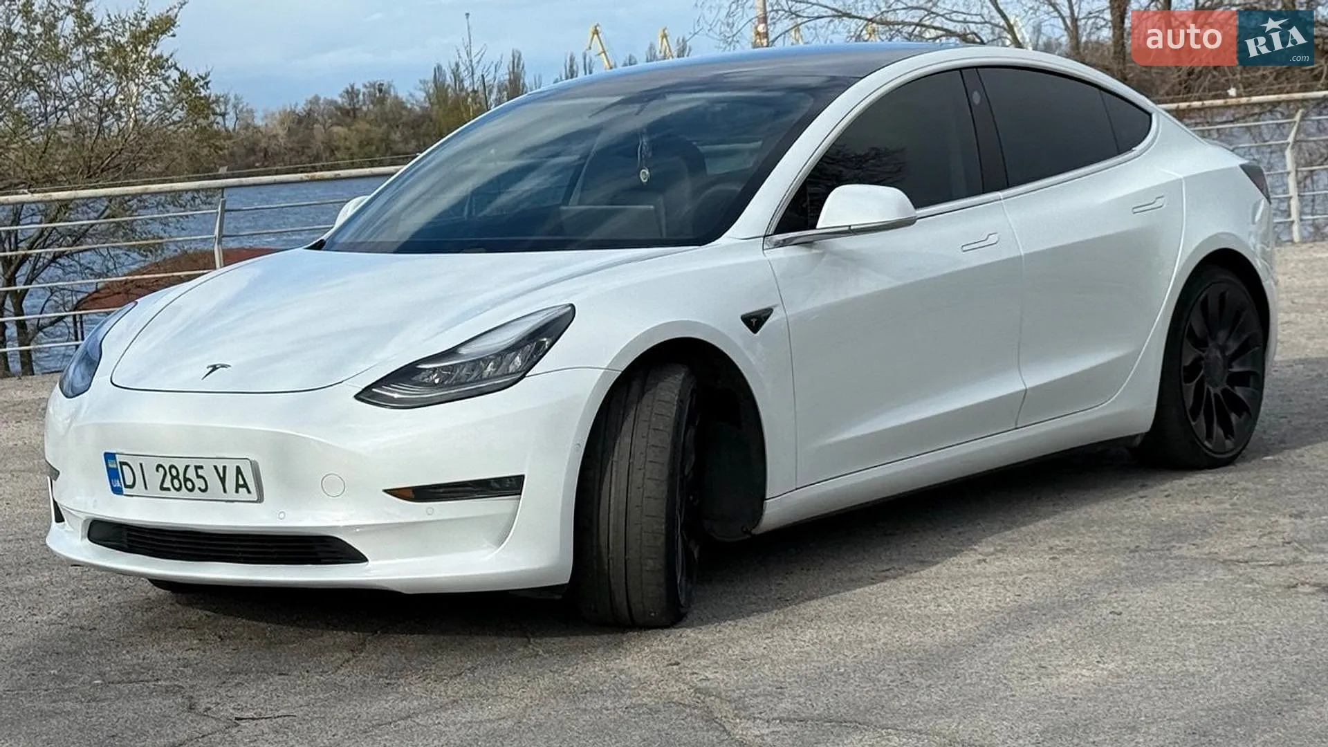 2019 Tesla Model 3 - мініатюра 3