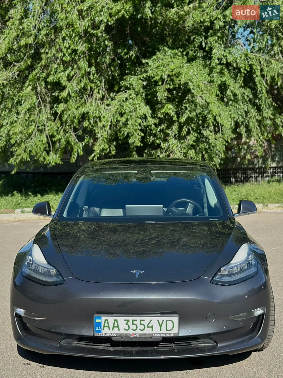2020 Tesla Model 3 - мініатюра 4