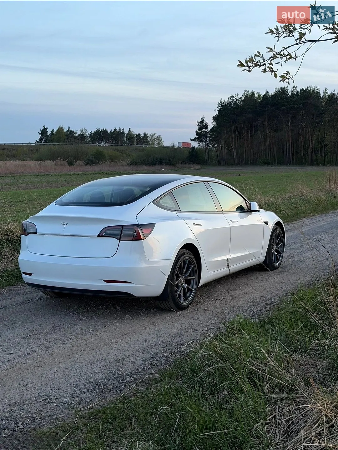 2022 Tesla Model 3 - мініатюра 3