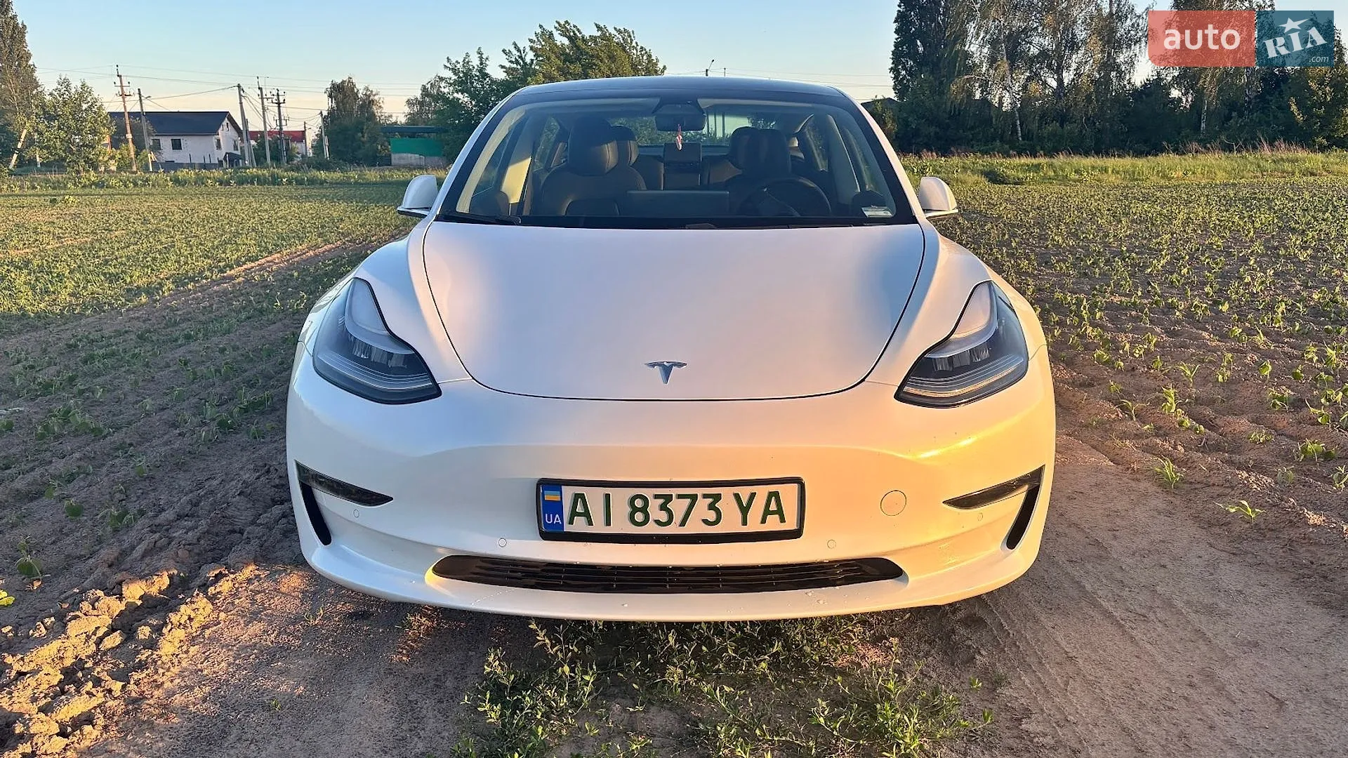 2020 Tesla Model 3 - мініатюра 2