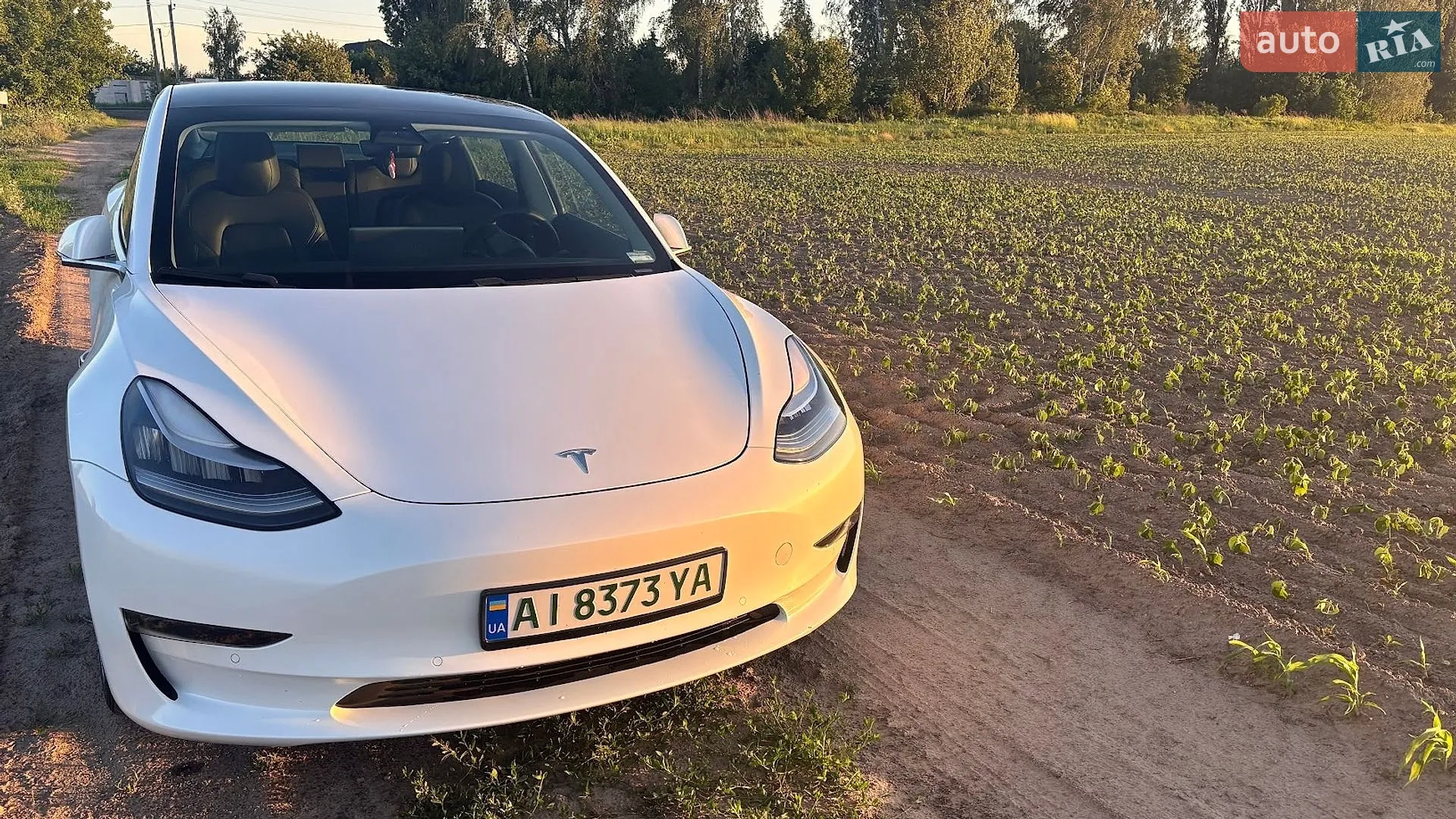 2020 Tesla Model 3 - мініатюра 3