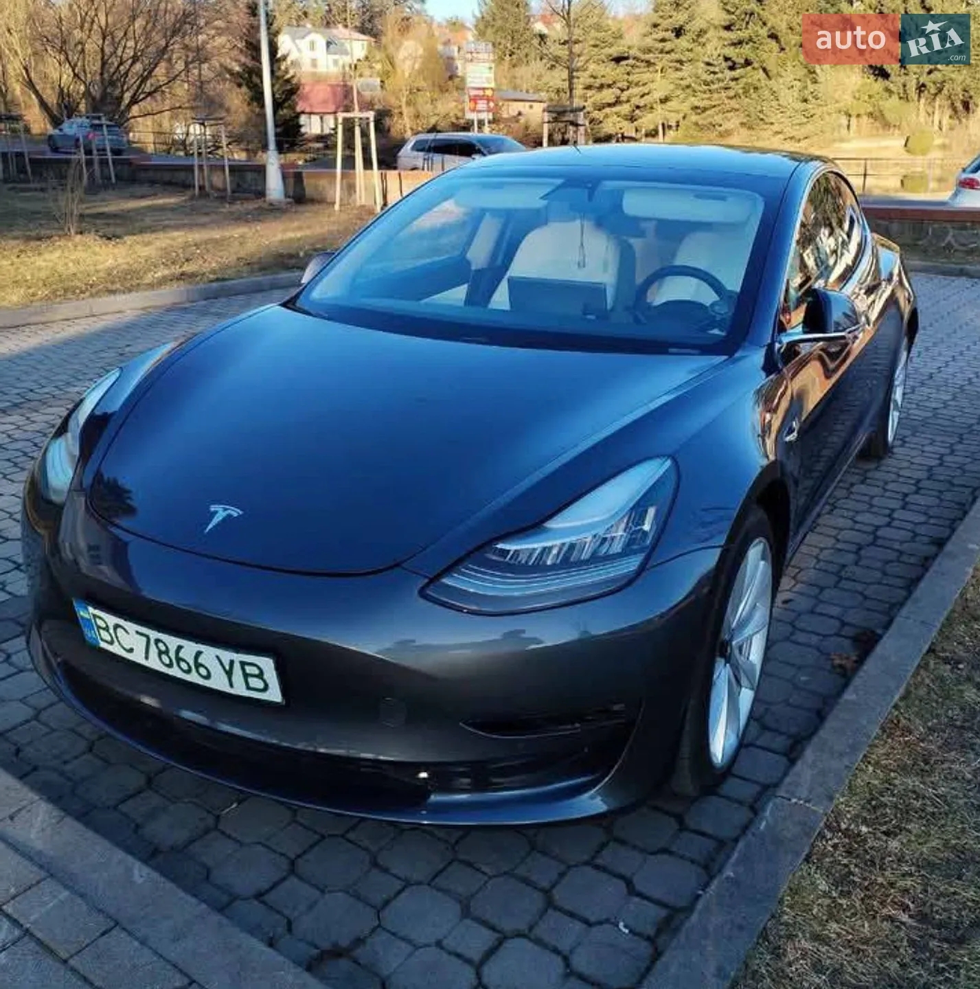 2019 Tesla Model 3 - мініатюра 5