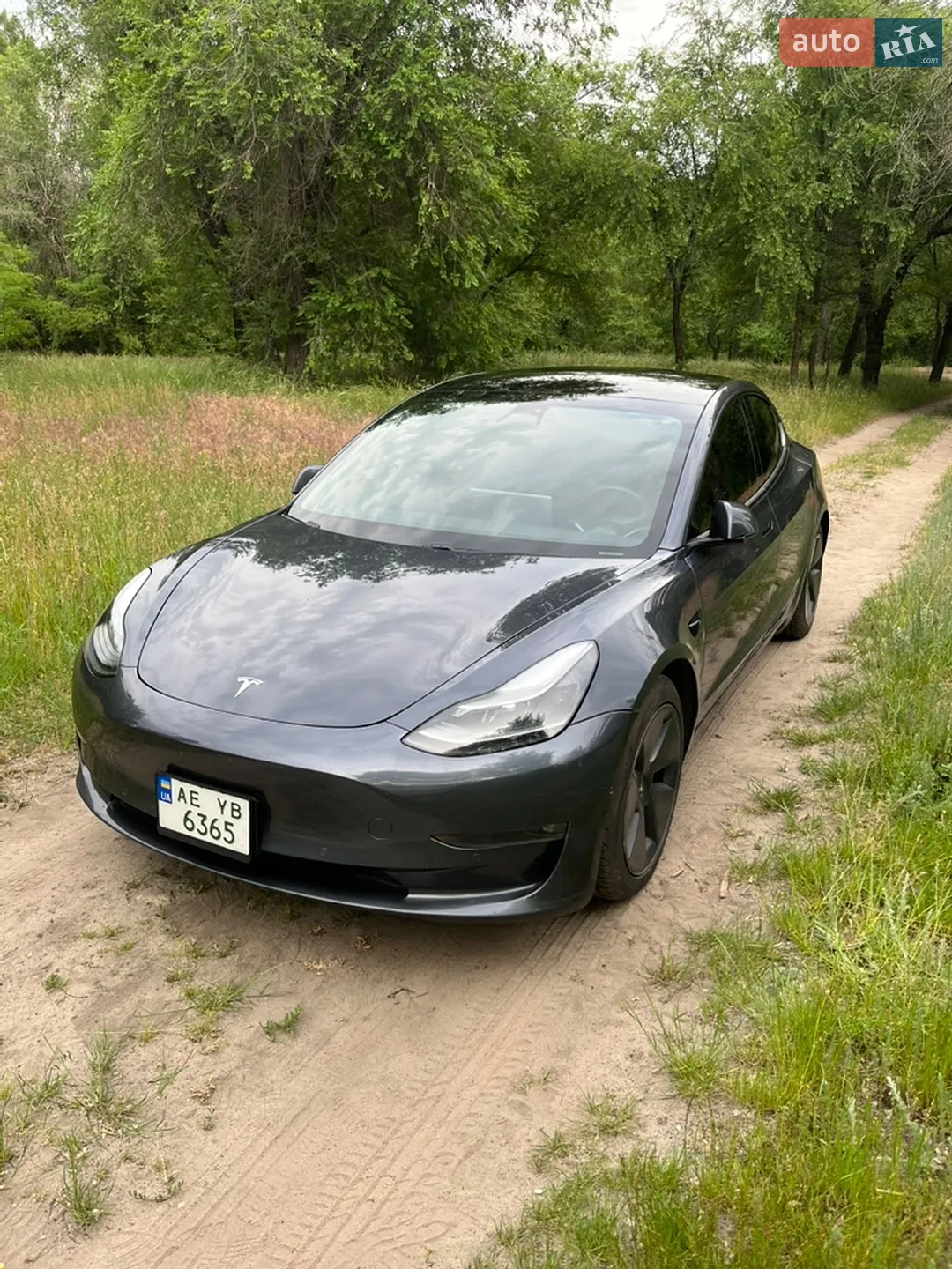 2021 Tesla Model 3 - мініатюра 3