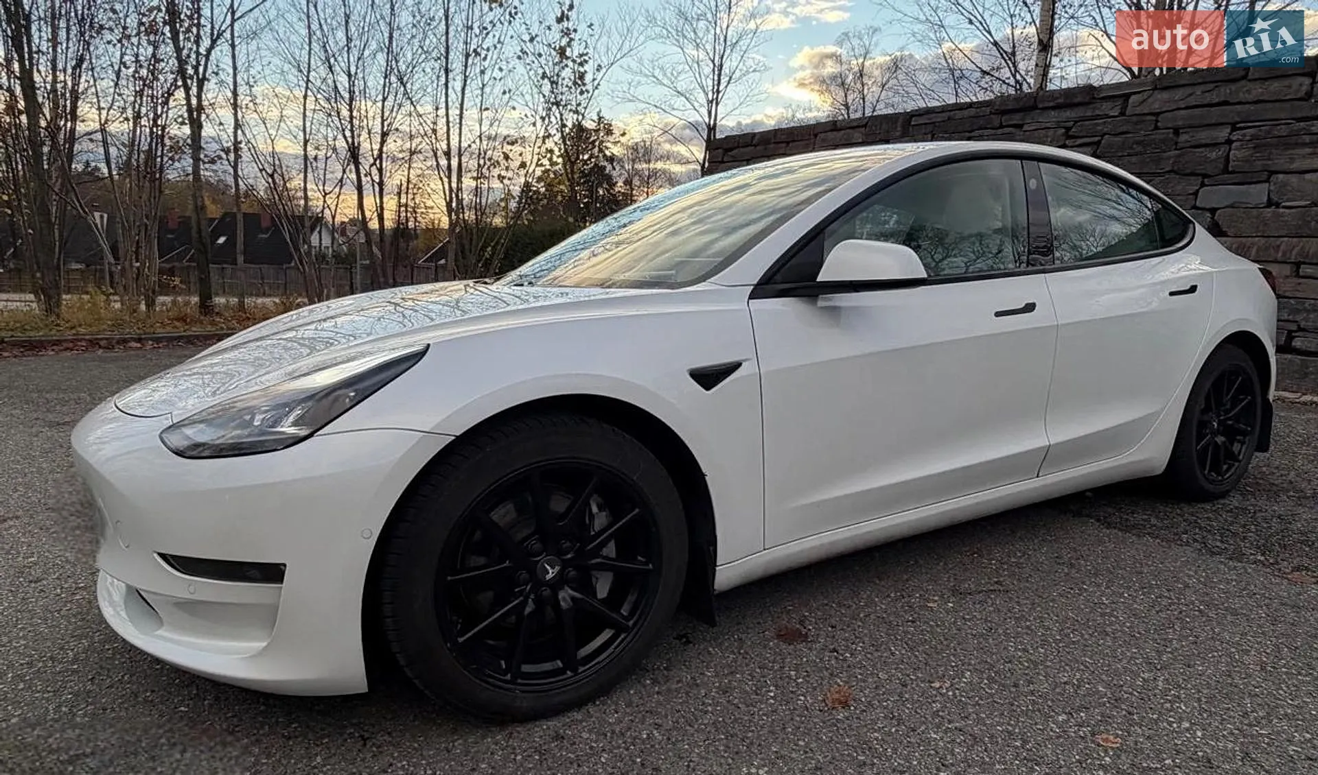 2020 Tesla Model 3 - мініатюра 4