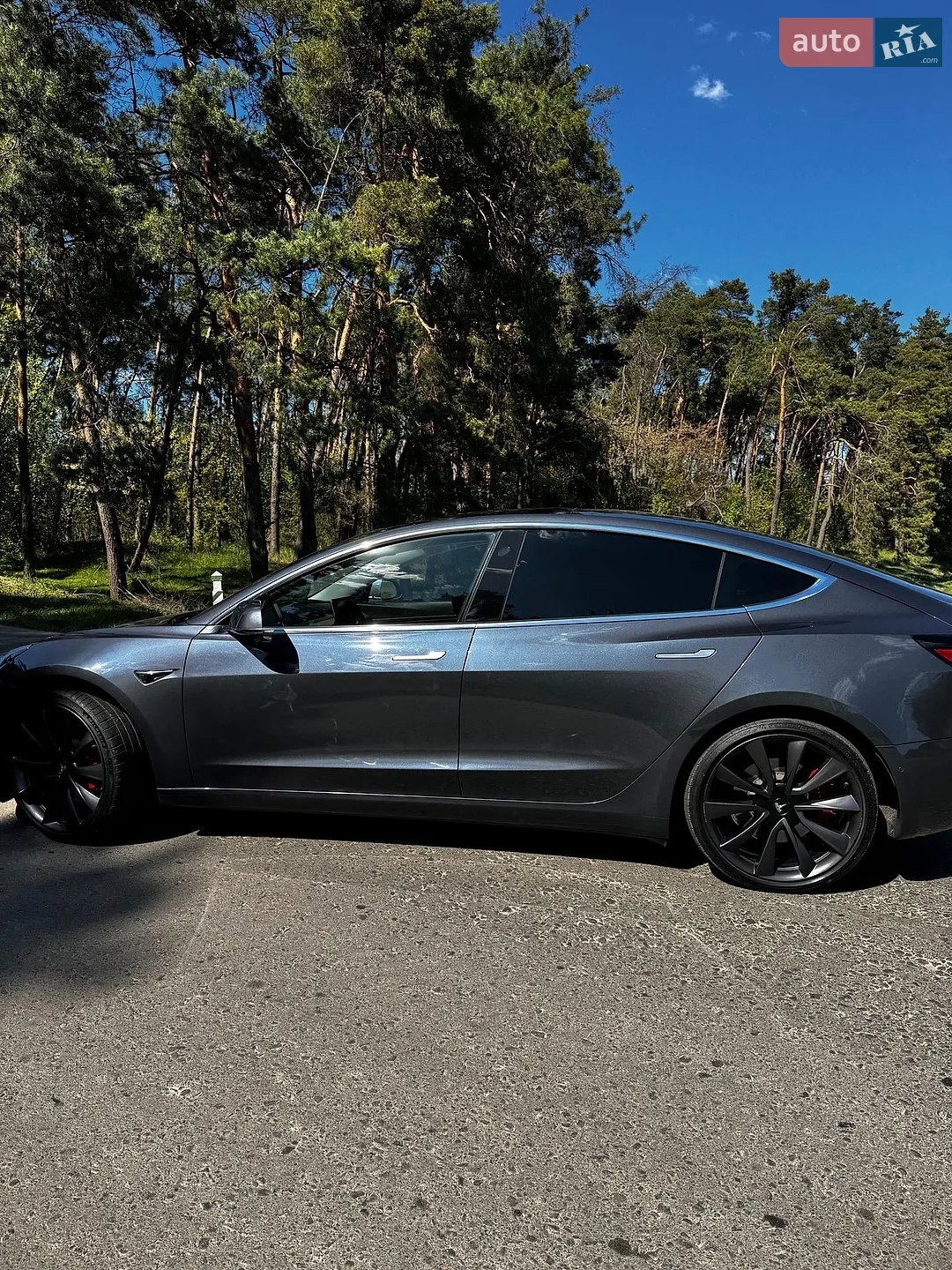 2019 Tesla Model 3 - мініатюра 12