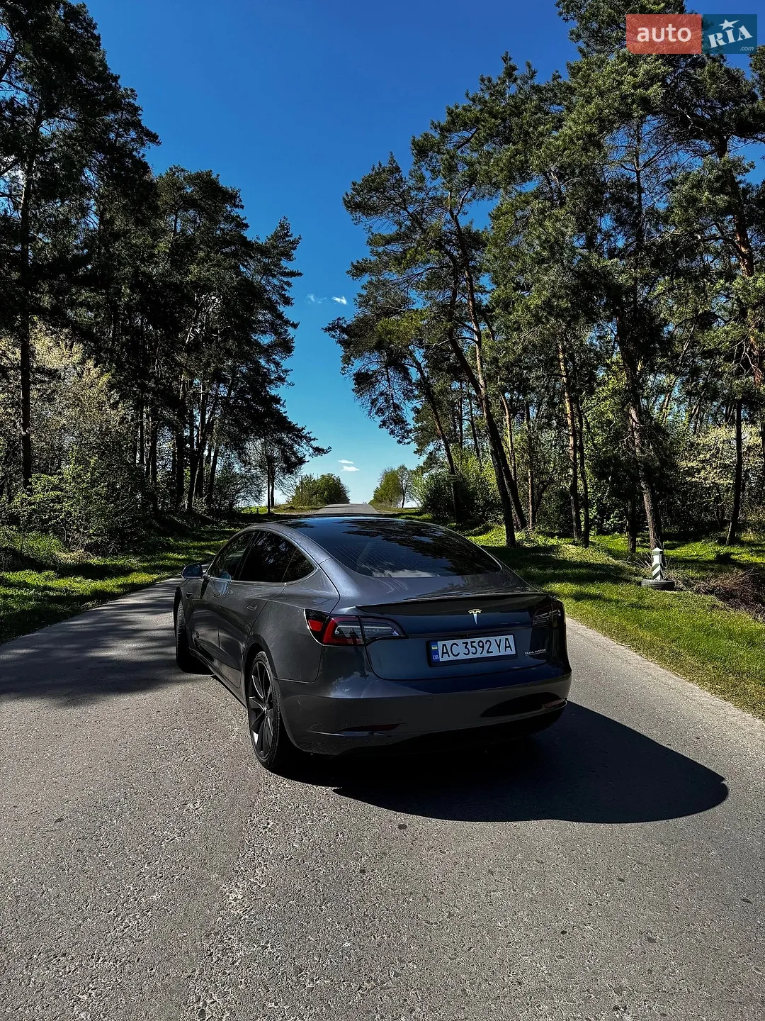 2019 Tesla Model 3 - мініатюра 17
