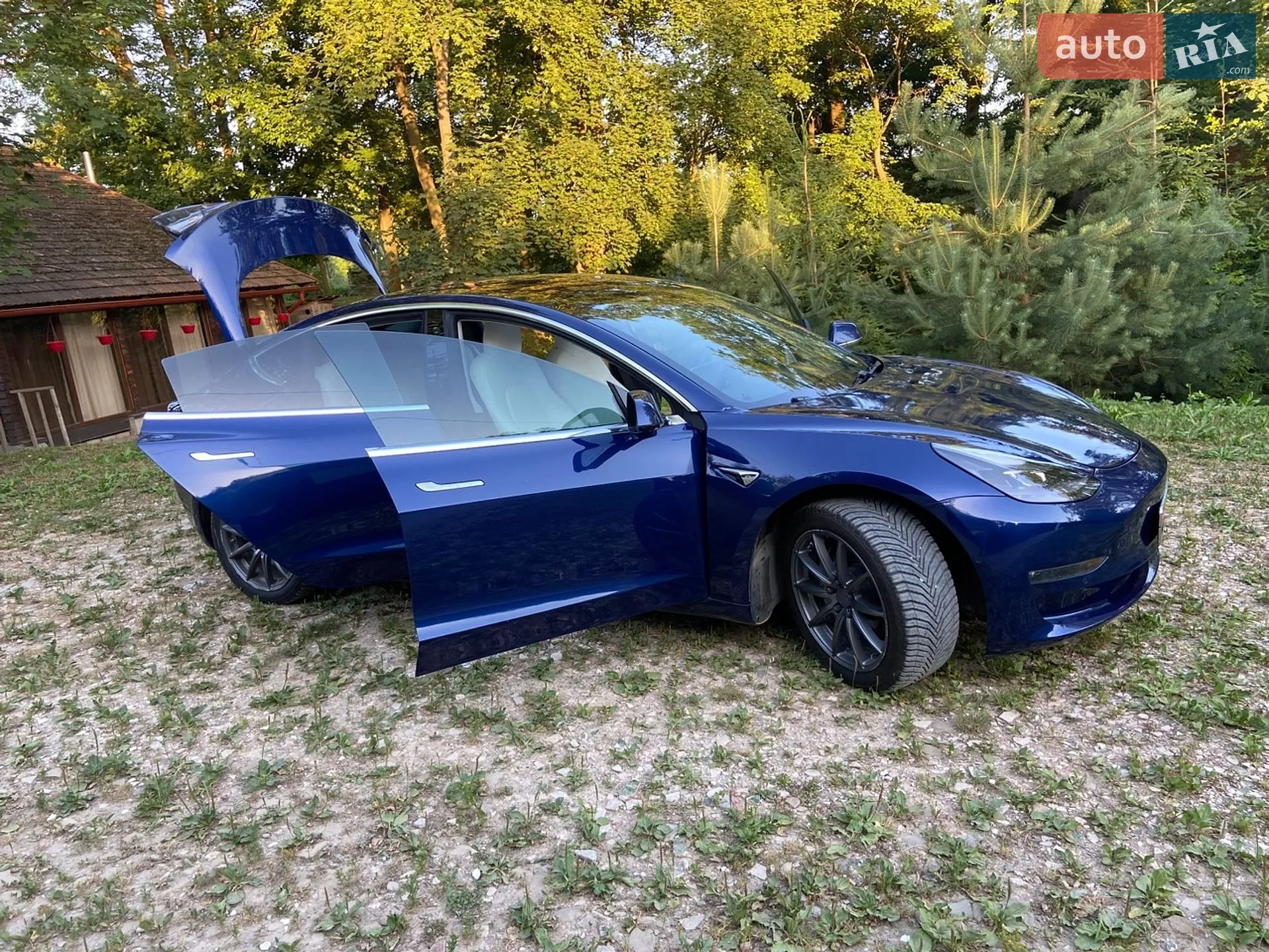2019 Tesla Model 3 - мініатюра 17