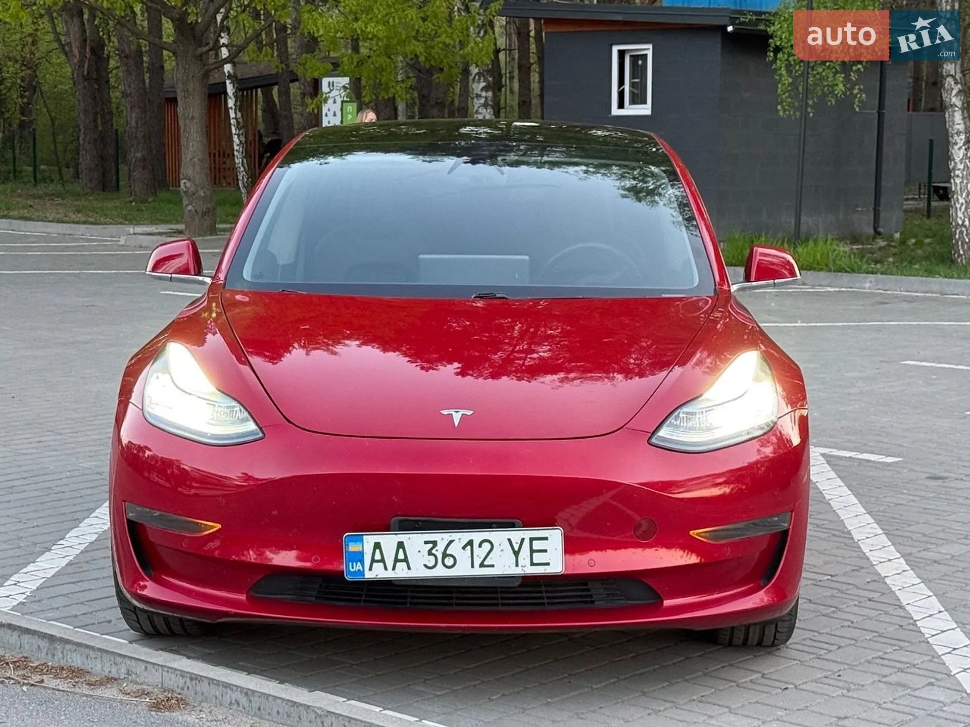 2019 Tesla Model 3 - мініатюра 20