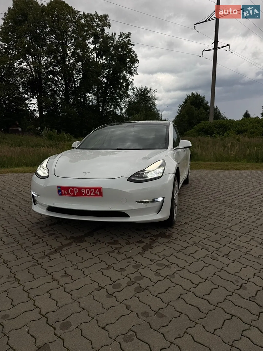 2019 Tesla Model 3 - мініатюра 2