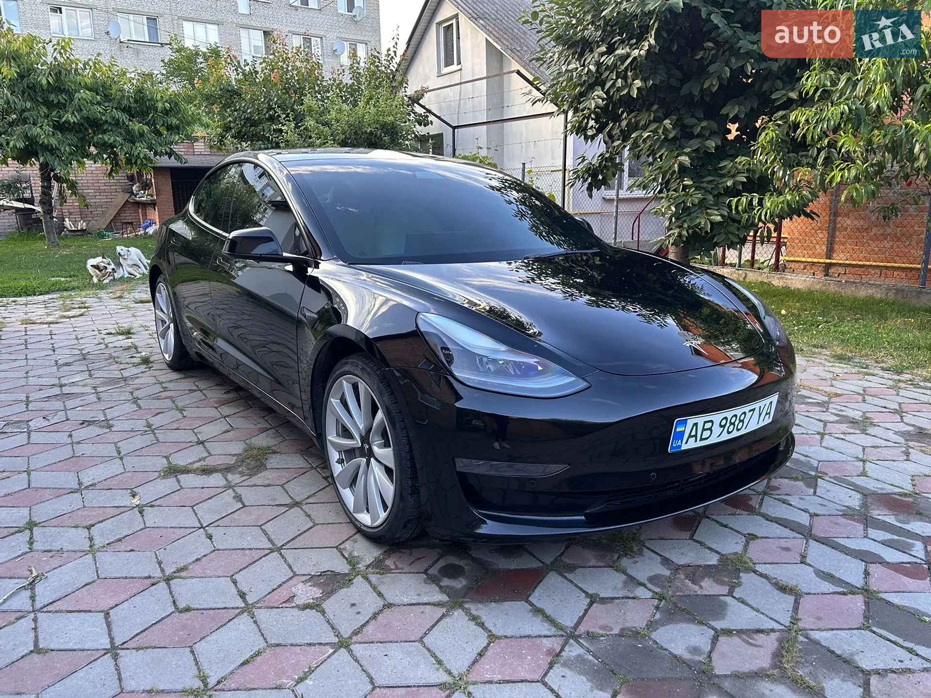 2021 Tesla Model 3 - мініатюра 9