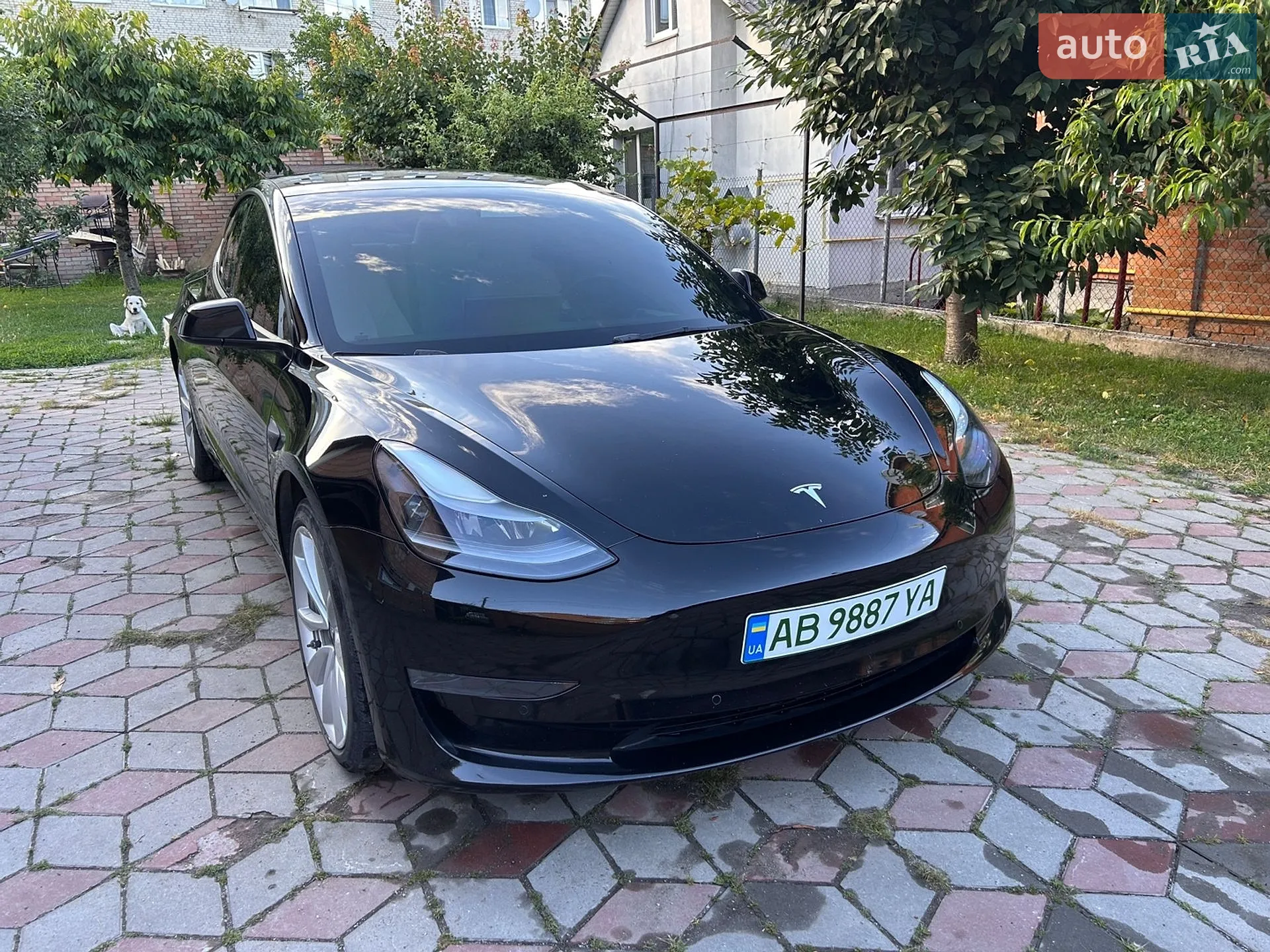 2021 Tesla Model 3 - мініатюра 10