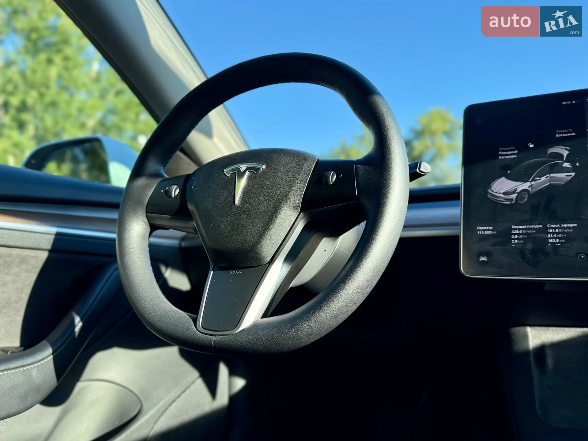 2021 Tesla Model 3 - мініатюра 16