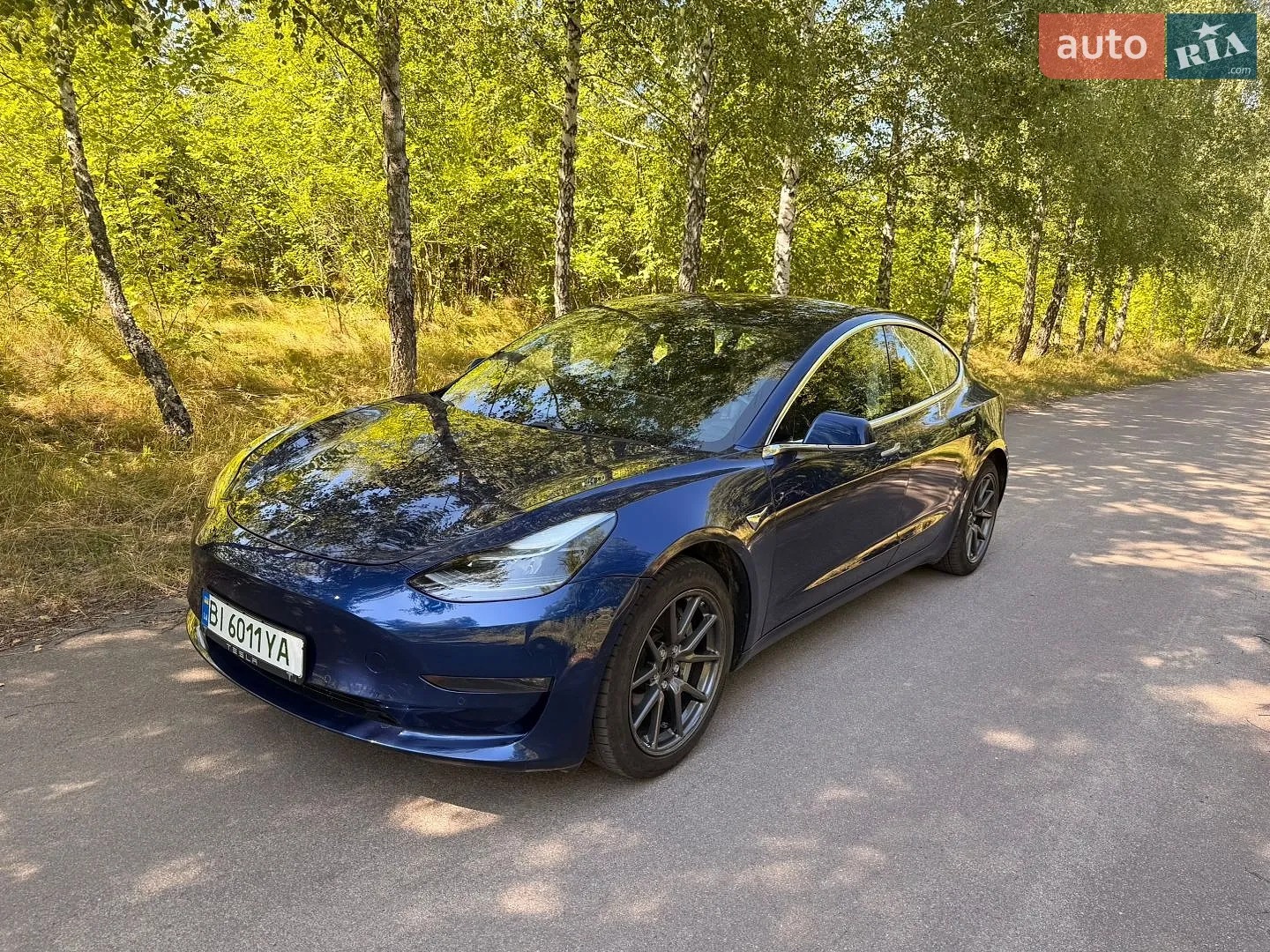 2019 Tesla Model 3 - мініатюра 2