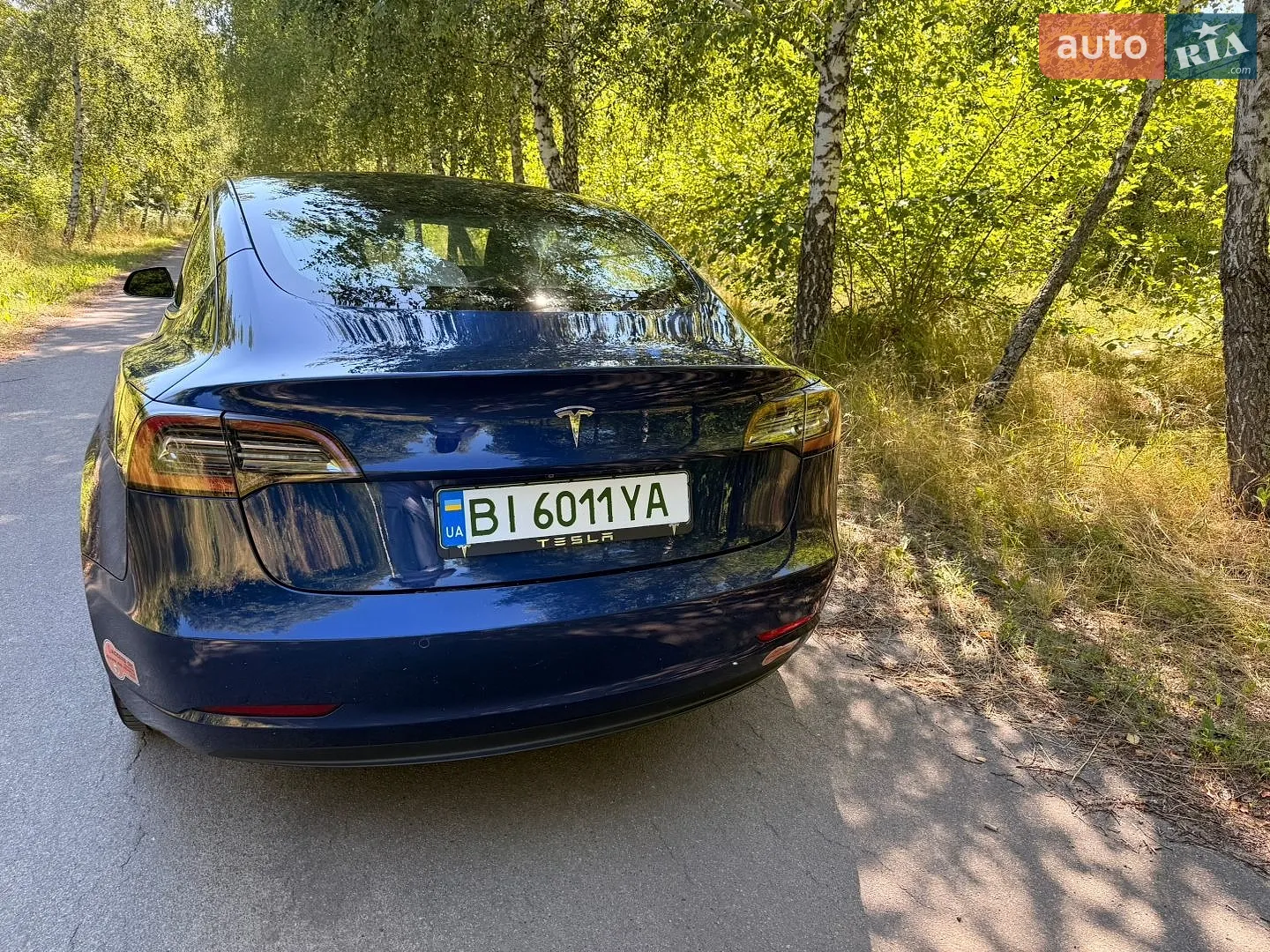 2019 Tesla Model 3 - мініатюра 4