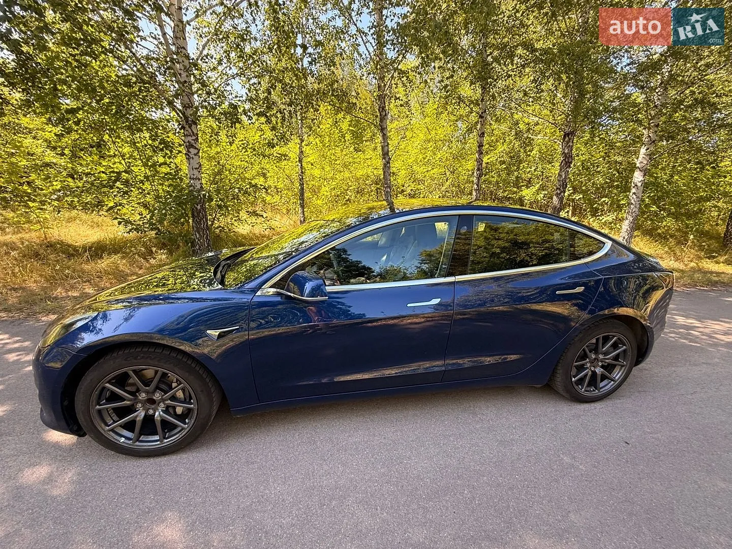 2019 Tesla Model 3 - мініатюра 3