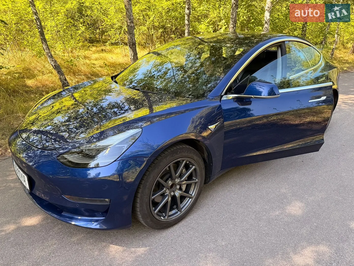 2019 Tesla Model 3 - мініатюра 18