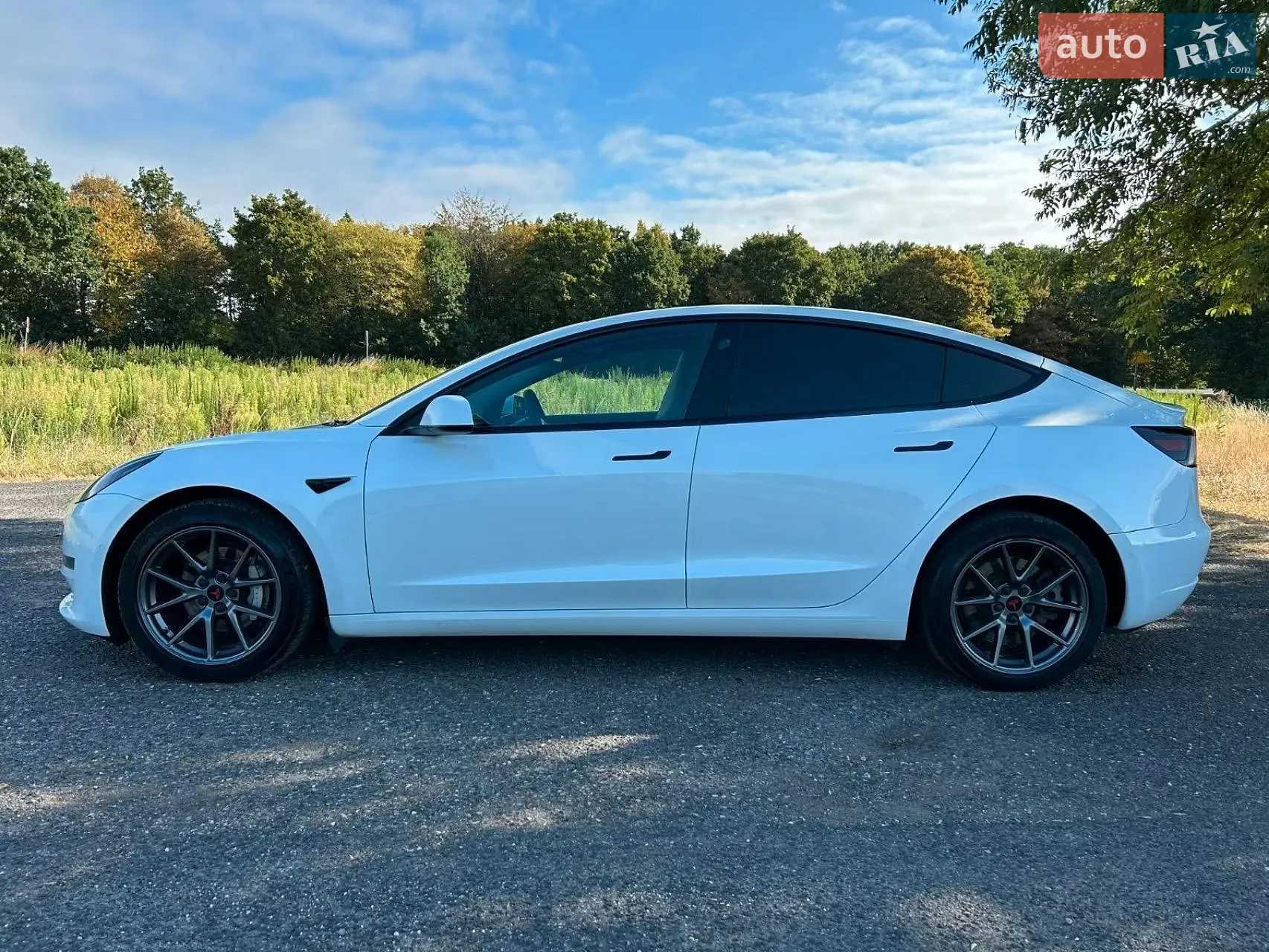 2022 Tesla Model 3 - мініатюра 2