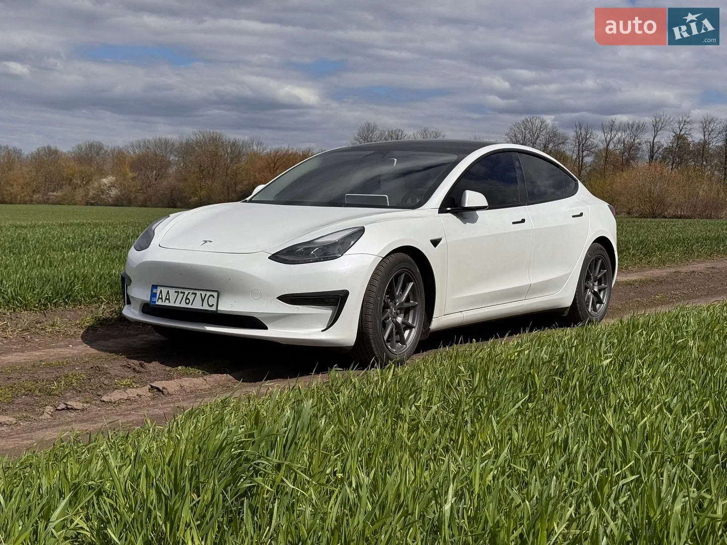2022 Tesla Model 3 - мініатюра 2