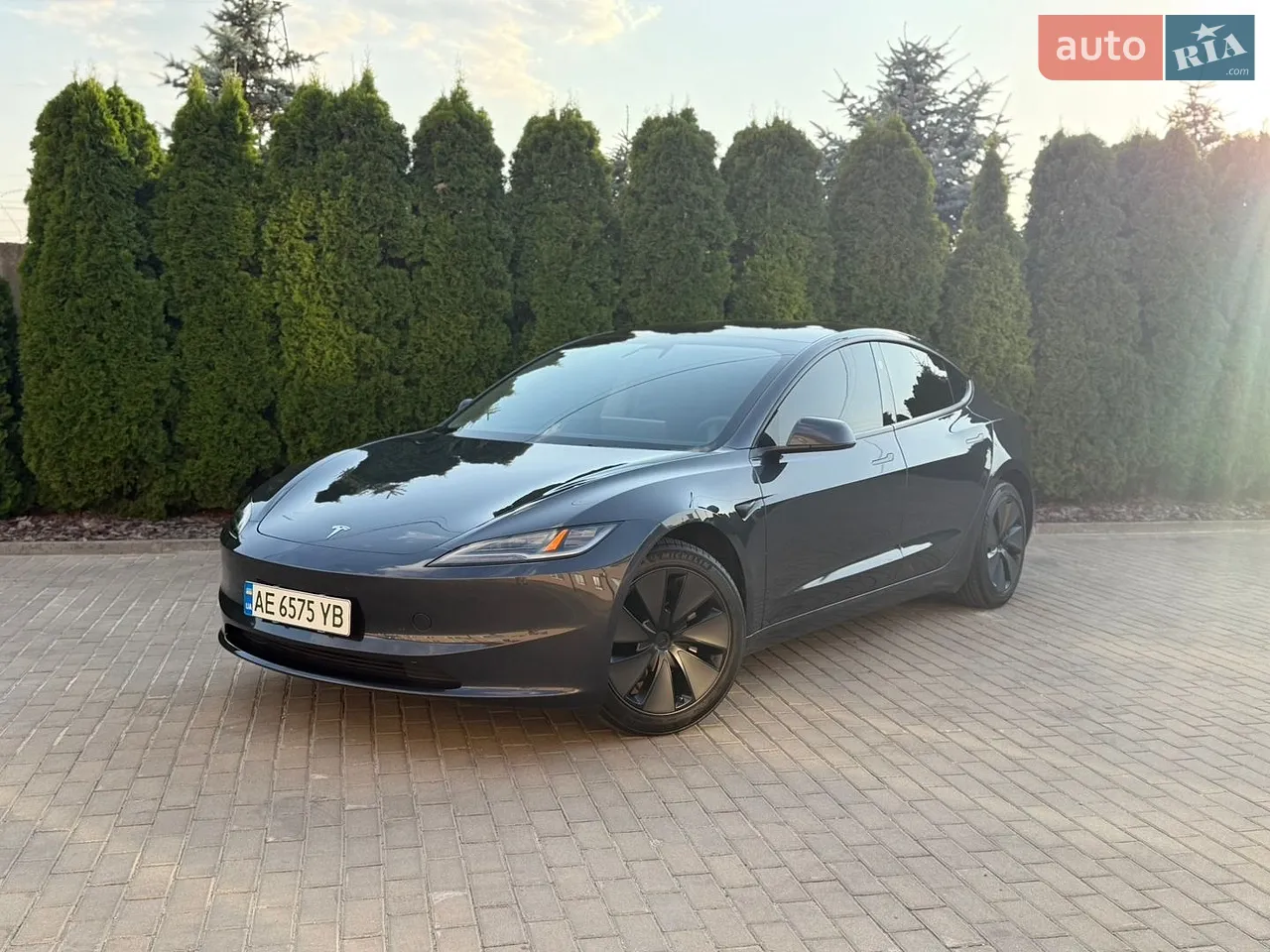 2025 Tesla Model 3 - мініатюра 19