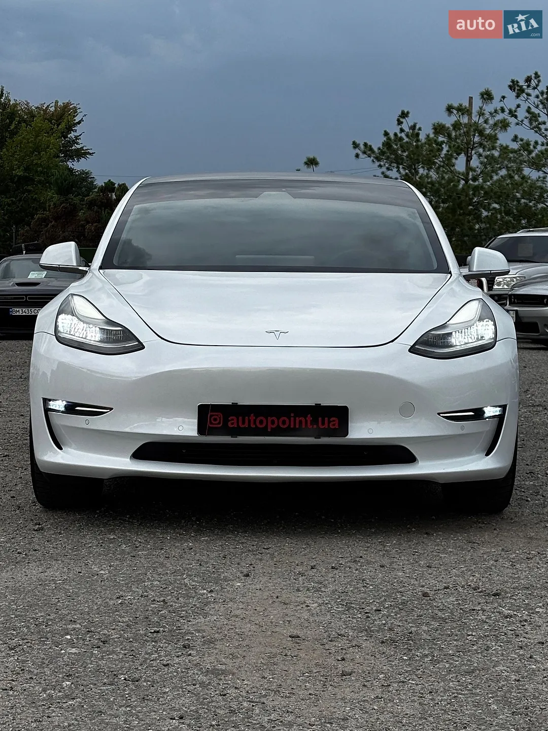 2019 Tesla Model 3 - фото 1